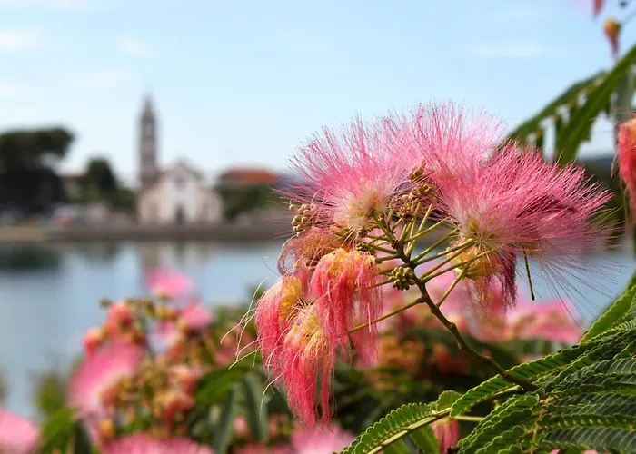 By The Sea - 8220 * Пашман